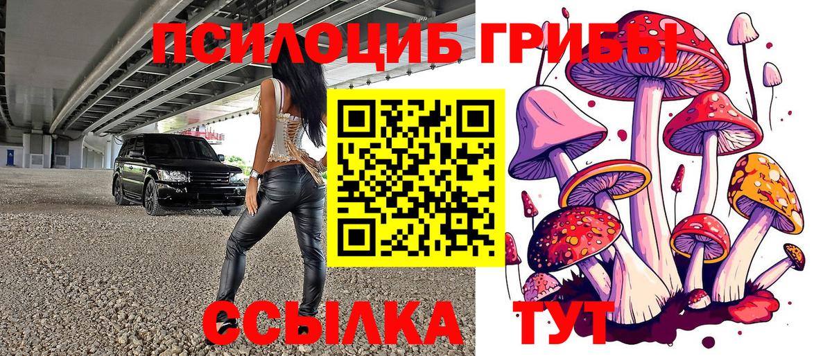 Советская Гавань  Галлюциногенные грибы мухоморы  Вход с VPN  Галлюциногенные грибы прущие грибы 