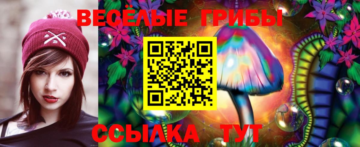 Псилоцибиновые грибы Psilocybine cubensis Советская Гавань